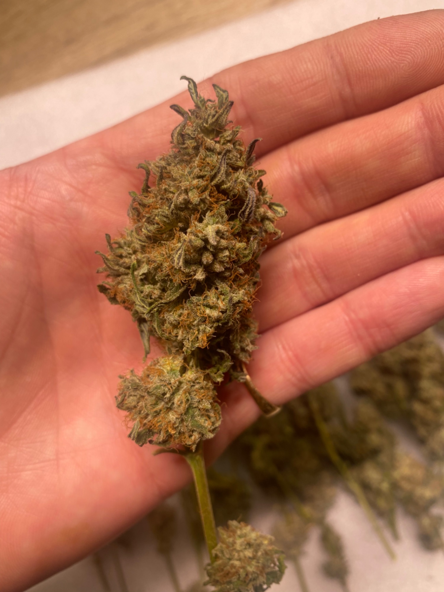 Pure Durban, Vanilla Frosting, Vanilla Cream Pie - Indoor