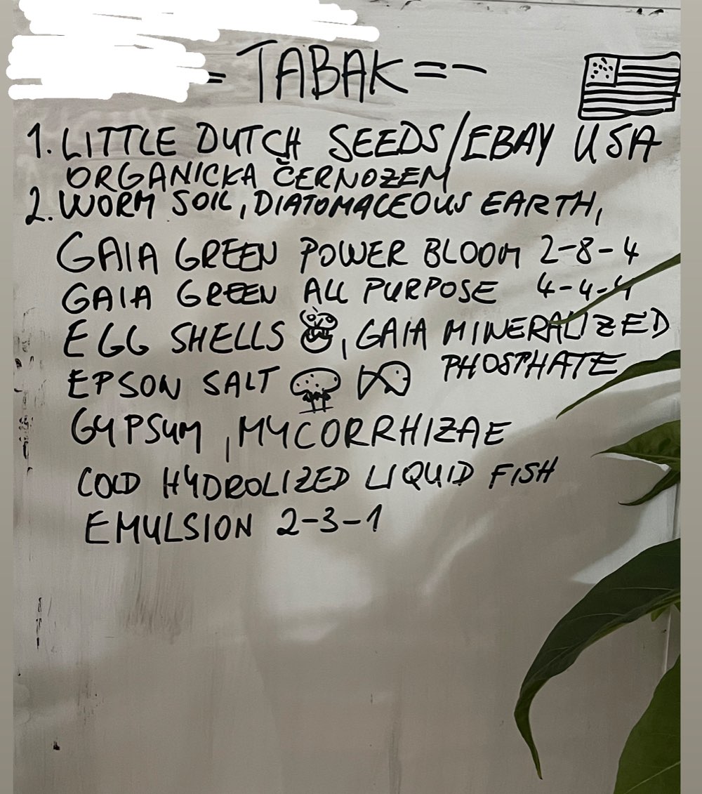 Nahraná fotka