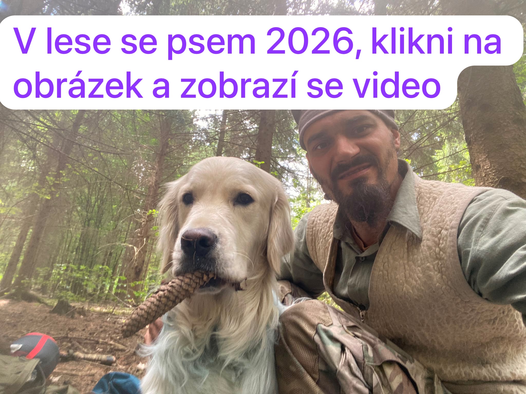Banner reklama