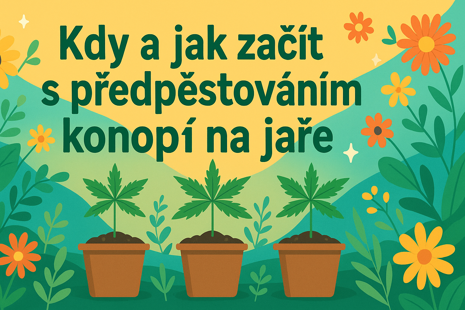 Kdy a jak začít s předpěstováním konopí na jaře