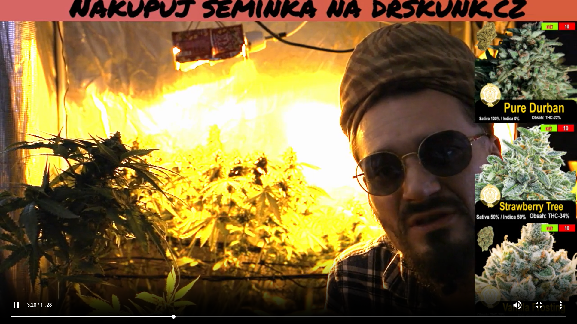 Pěstrírna 2 světla co používám